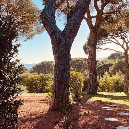 Du Soleil * سانت ماكسيم