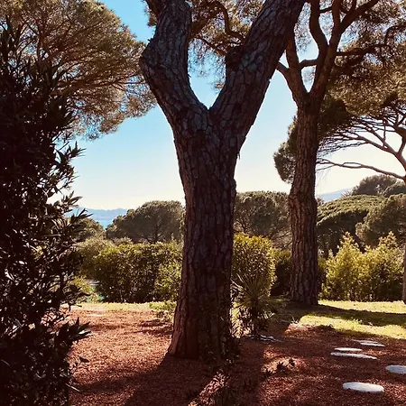 Du Soleil Apartament *