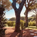 Du Soleil * סן-מקסים