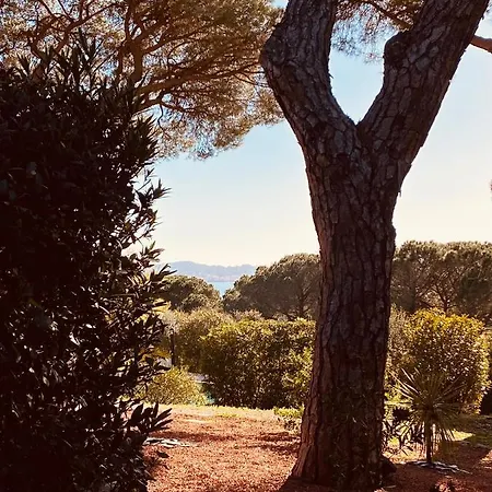 Du Soleil Appartement Sainte-Maxime