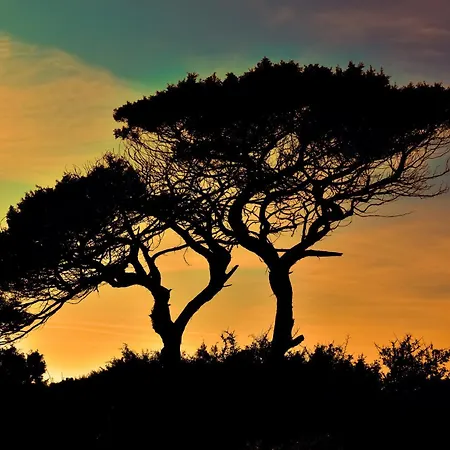 Du Soleil Sainte-Maxime