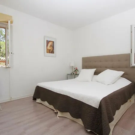 Le Mas Du Soleil Apartment Sainte-Maxime