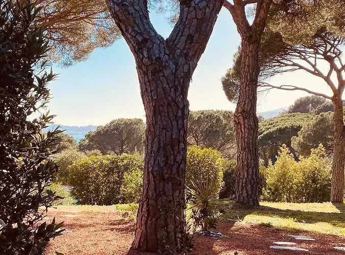 Du Soleil * Sainte-Maxime